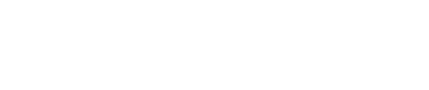 BNP Logo